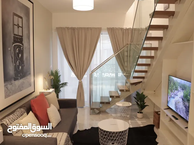Furnished Apartment in brand new building Oasis1