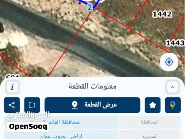 Residential Land for Sale in Amman Abu Alanda