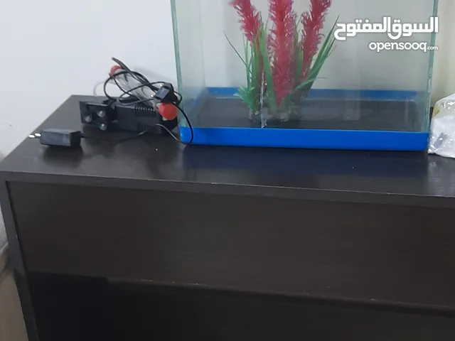 حوض سمك زجاجي