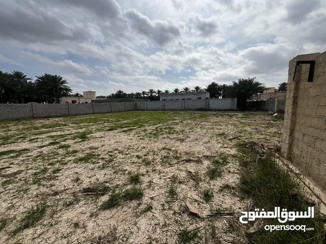 Farm Land for Rent in Al Batinah Sohar