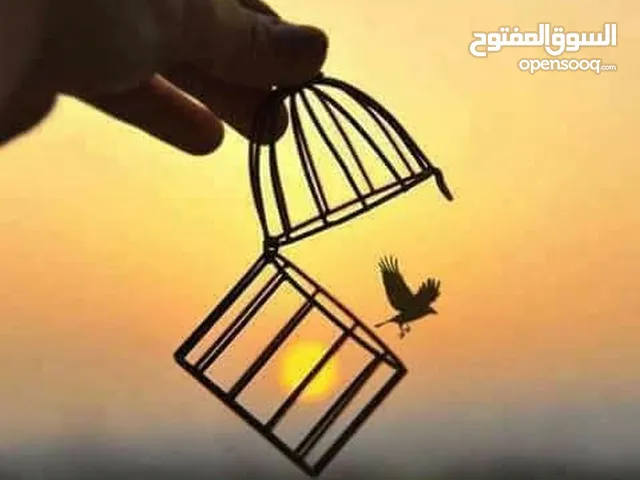 Furnished Monthly in Farwaniya Farwaniya