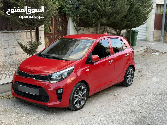 بيكانتو ترخيص2020 رخصه وتامين سنه فل الفل مع بصمه امكانية البيع دفعة وشكات