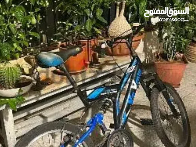 Mountain bicycle