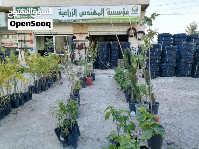 اشجار عروض
