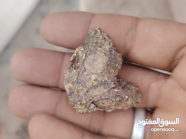 ذهب عايز لودر