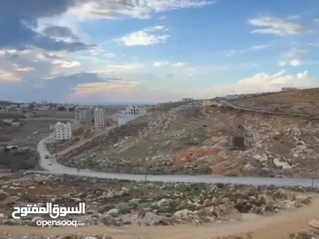 165 m2 3 Bedrooms Apartments for Sale in Ramallah and Al-Bireh Birzeit