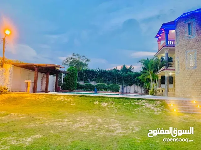 500m2 5 Bedrooms Villa for Rent in Alexandria Amreya
