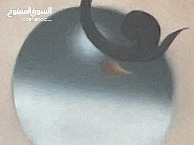 166 m2 3 Bedrooms Apartments for Sale in Al Karak Al-Thaniyyah