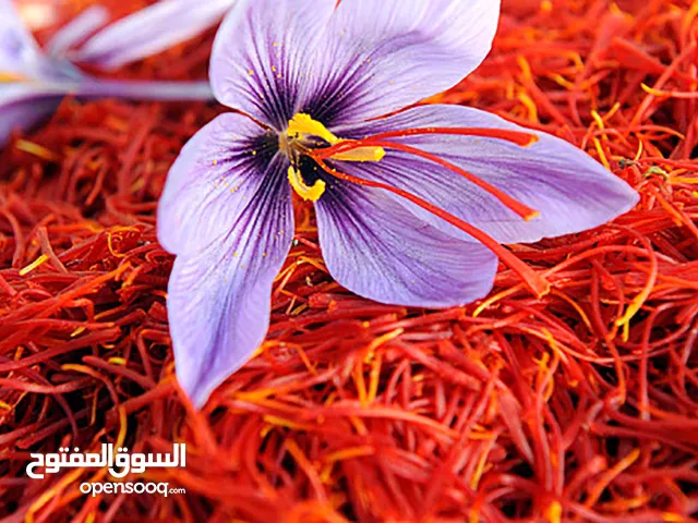 زعفران إيراني