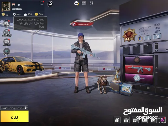 Pubg Accounts and Characters for Sale in Basra