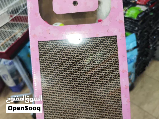 لعبه قطط بالاضافه الى خداشه بالاضافه الى طابات بالاضافه الى كاتنيب