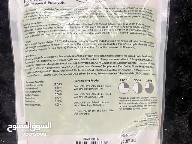 اكل السنجاب الطائر