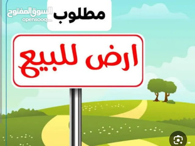 Farm Land for Sale in Hebron Dura