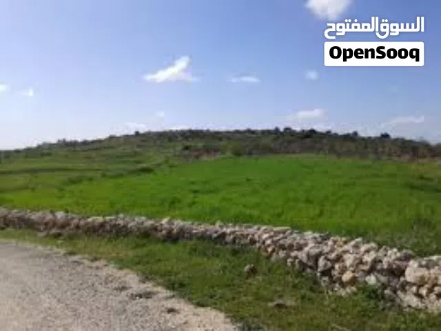 Mixed Use Land for Sale in Tulkarm Kafr Abush