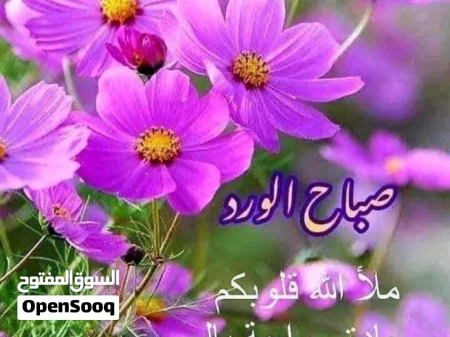 عم بدور  ع تلفون هونر x9d اي لون