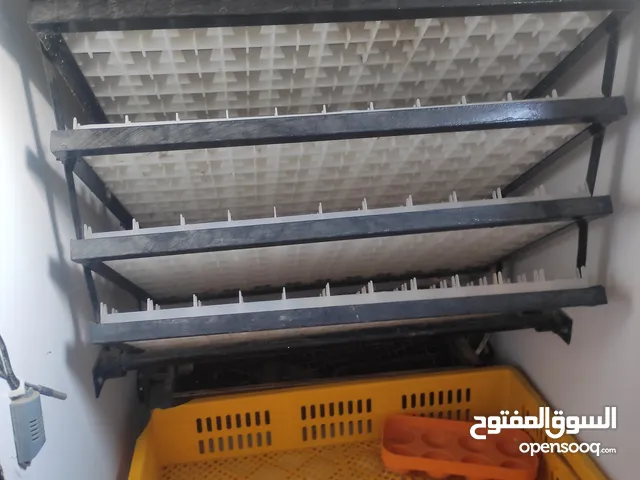 فقاصه تماتيك