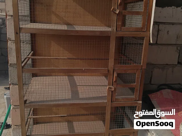 خانات طيور فناجز بلابل طيور حب كوكتيل كلشي صير الوصف مهم جدا