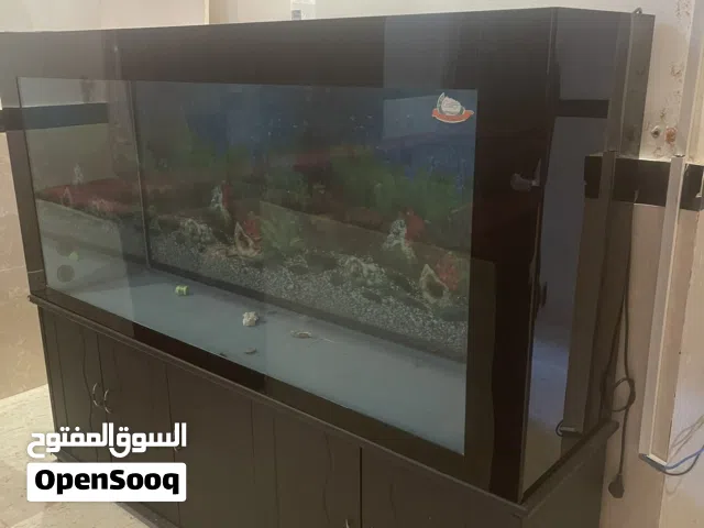 حوض أسماك كبير جـداً