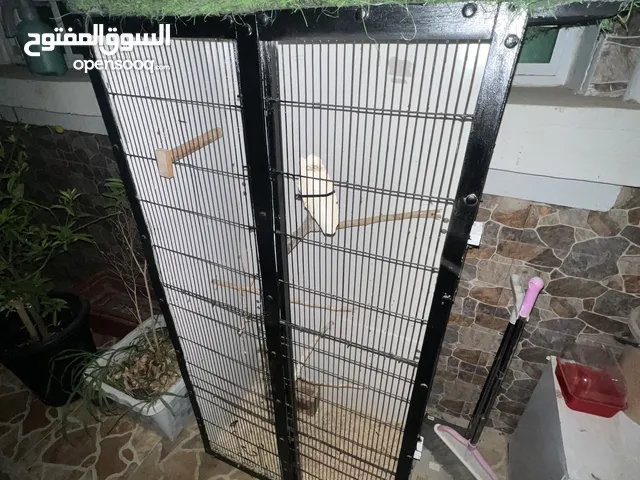قفص طيور صناعة منزليه