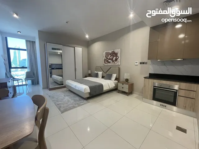 LUXURIOUS COZY APARTMENT FOR RENT