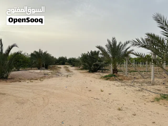 مزرعة رائعة للاستثمار و للراحة والاستجمام