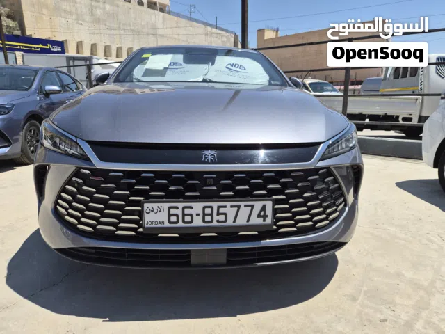 2025 بي واي دي كين