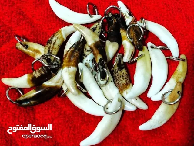 تعليقه ناب ذيب أصلي للزينه فقط