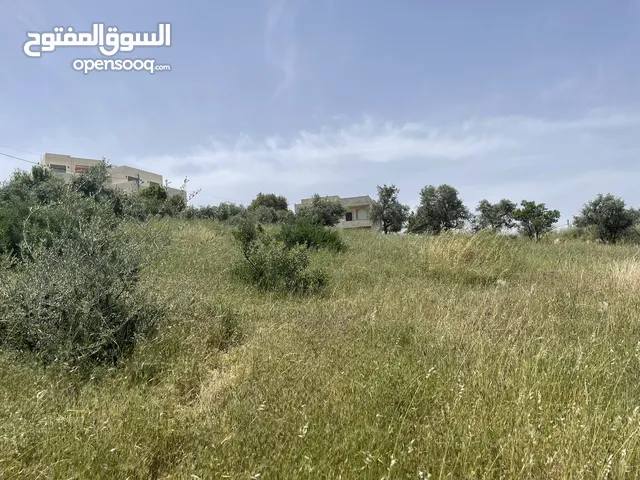 Residential Land for Sale in Amman Badr Jdedeh