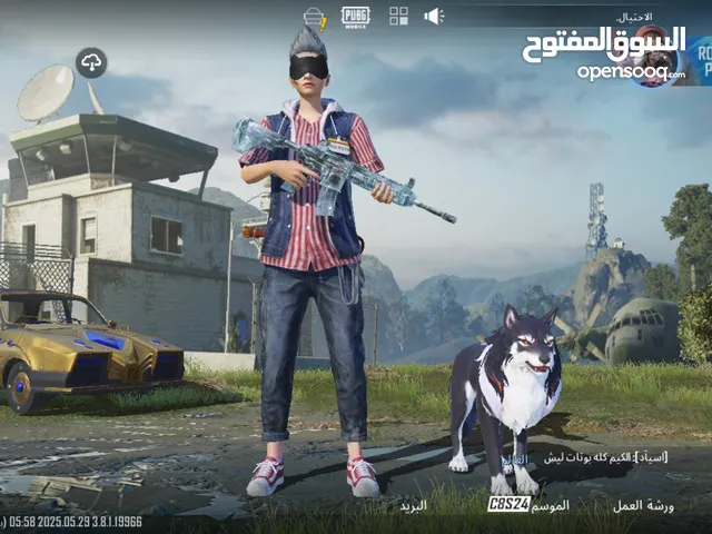 Pubg Accounts and Characters for Sale in Mafraq