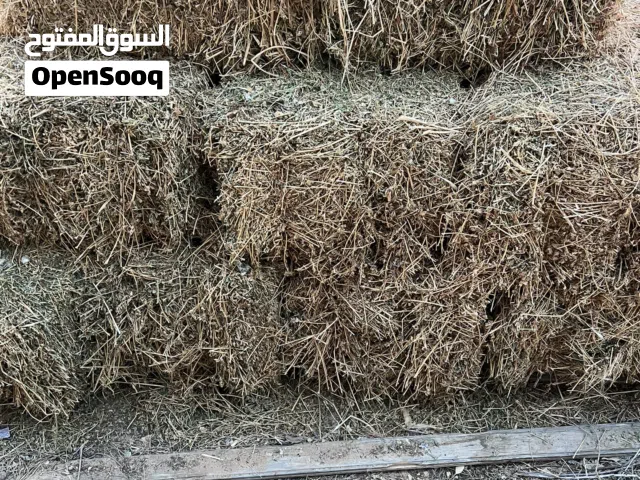 قضب للبيع 40 دينار للباله