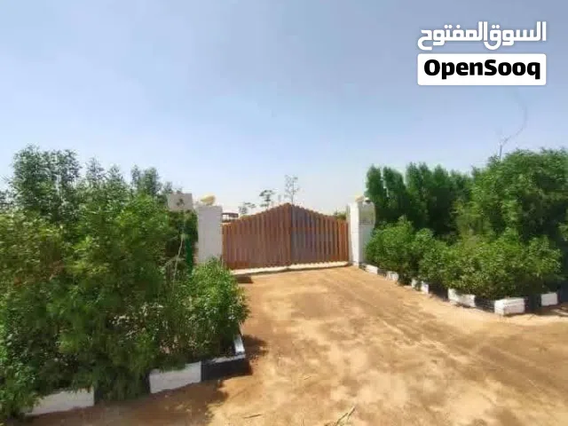 Farm Land for Sale in Fayoum New Fayoum