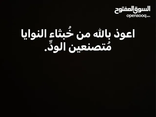 وفيقة نضال زيدان