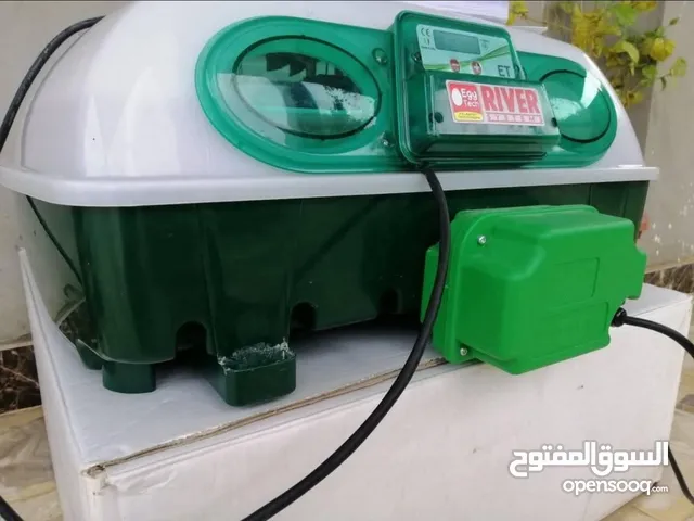 السلام عليكم حضانه إيطالية تحمل 49 بيضة للبيع المكان السواني