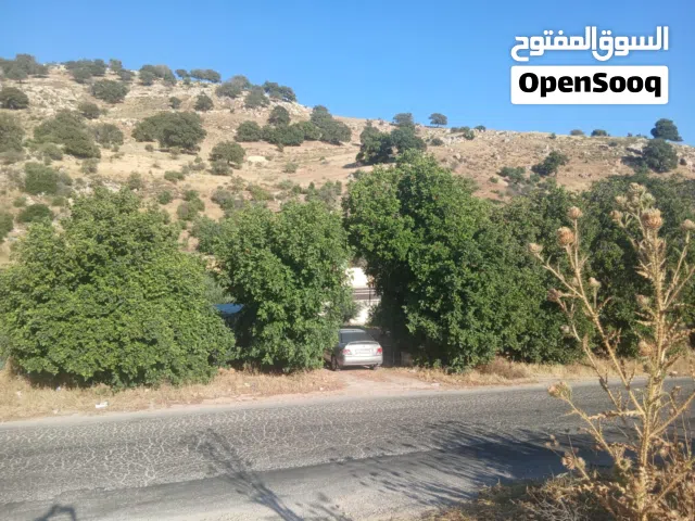 Mixed Use Land for Rent in Amman Bahath