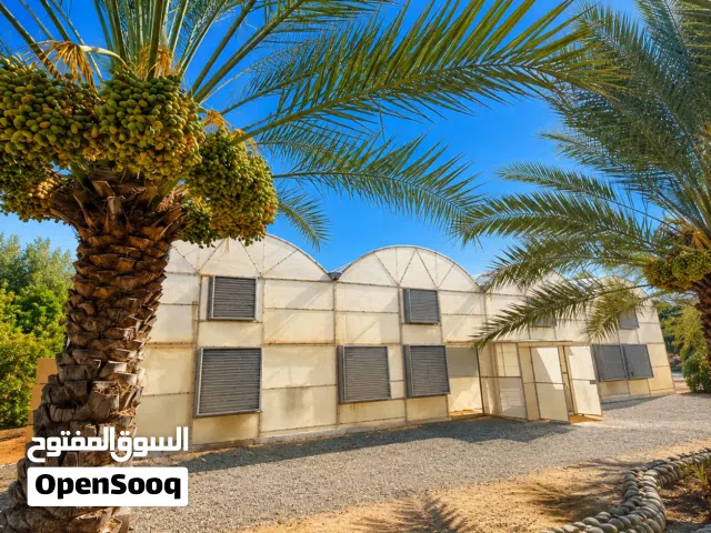للبيع جرين هاوس (بيت محمي) بحالة جيدة