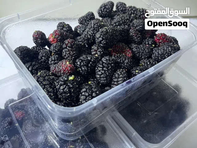 توت العلبه  يوجد  التوصيل فقط للكميات الموقع اربد ديرالسعنه