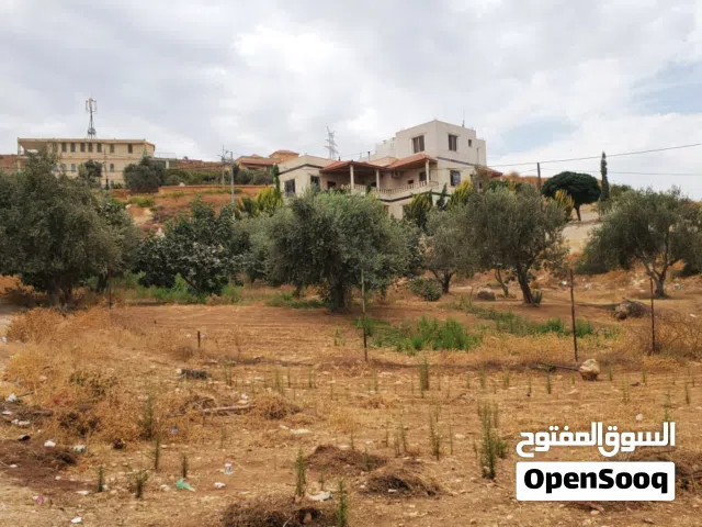 Residential Land for Sale in Zarqa Um Rummanah