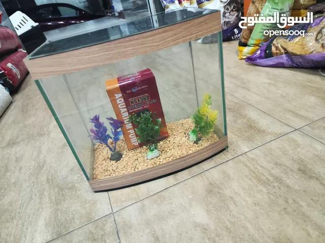 حوض سمك مجهز بالكامل ، بس حط سمكاتك الطول 32سم العمق 21 ارتفاع 29 سم