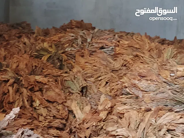 دخان عربي كبوش