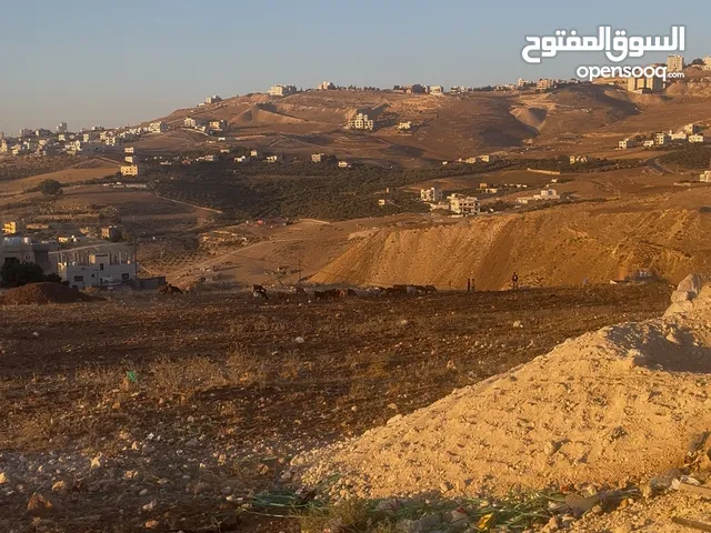 قطعة أرض للبيع صافوط ام مرهف الجنوبي