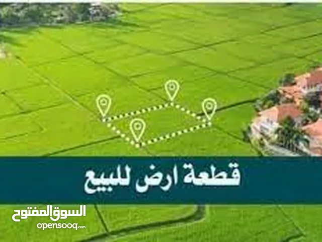 فرصة ذهبية لامتلاك قطعة أرض مميزة في نابلس الموقع: تل – عين المزراب – منطقة فلل راقية
