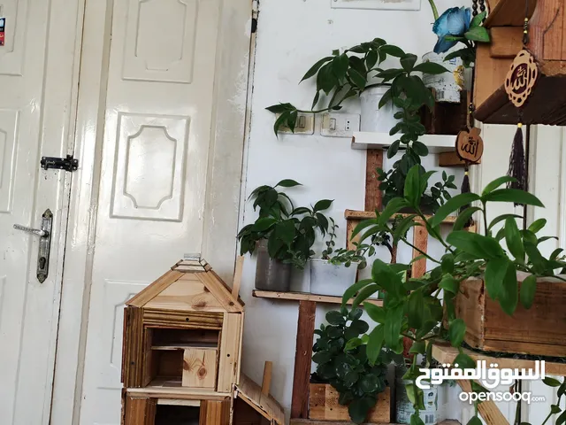 Furnished Monthly in Irbid Mojamma' Alshaikh Khaleel