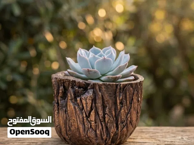 قوار نباتات صناعه يدوية