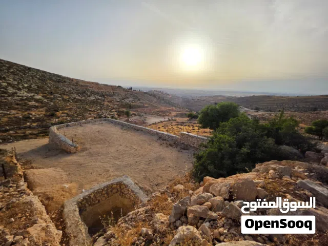 خلة العقد وحشة، تصنيف أ كوشان طابو