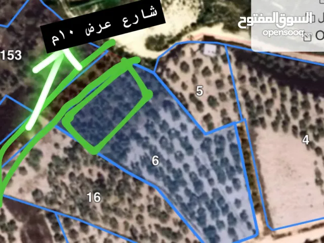 قطعة أرض سكنية مميزة للبيع غرب نابلس