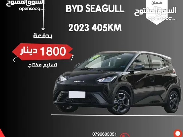 BYD Seagull 2023 in Zarqa