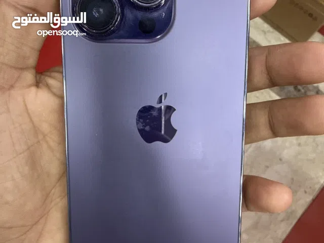 10day,s cheking warranti