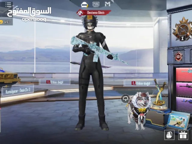 Pubg Accounts and Characters for Sale in Madaba