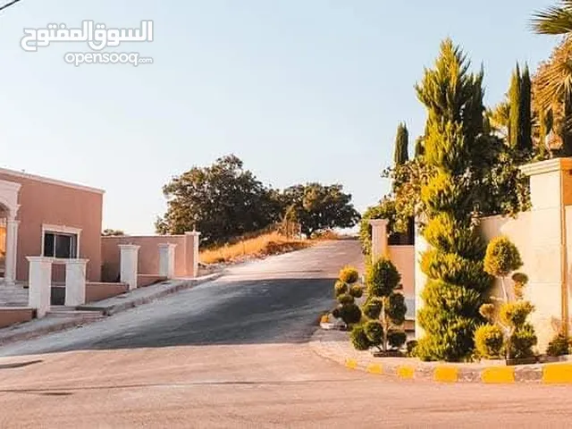 Residential Land for Sale in Amman Badr Jdedeh