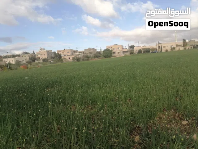 أرض زراعية وسكنية
